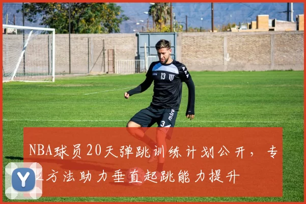 NBA球员20天弹跳训练计划公开，专业方法助力垂直起跳能力提升