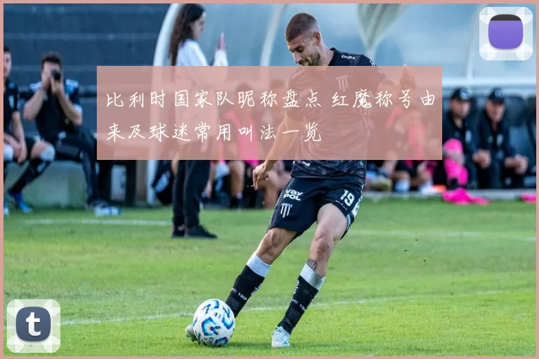 比利时国家队昵称盘点 红魔称号由来及球迷常用叫法一览