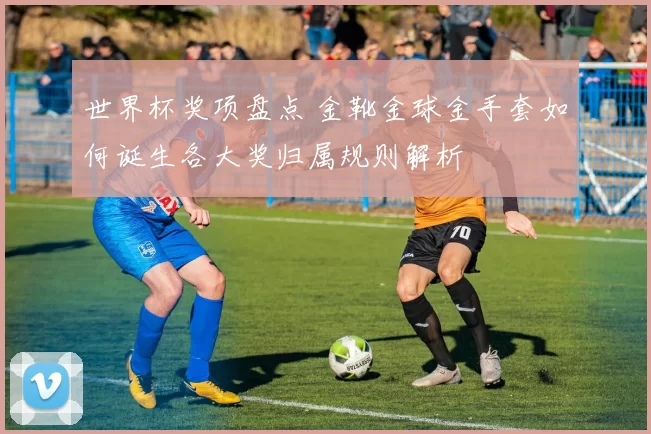 世界杯奖项盘点 金靴金球金手套如何诞生各大奖归属规则解析