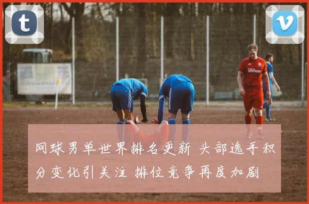 网球男单世界排名更新 头部选手积分变化引关注 排位竞争再度加剧