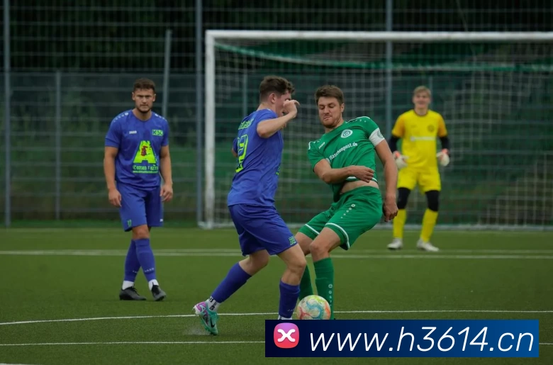 世界杯在线观看官网平台生态图